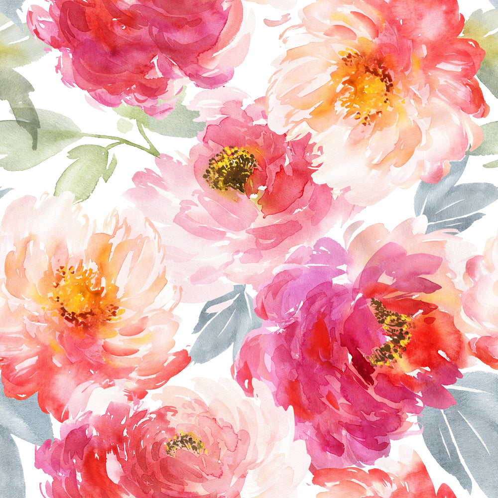 Peony-0001