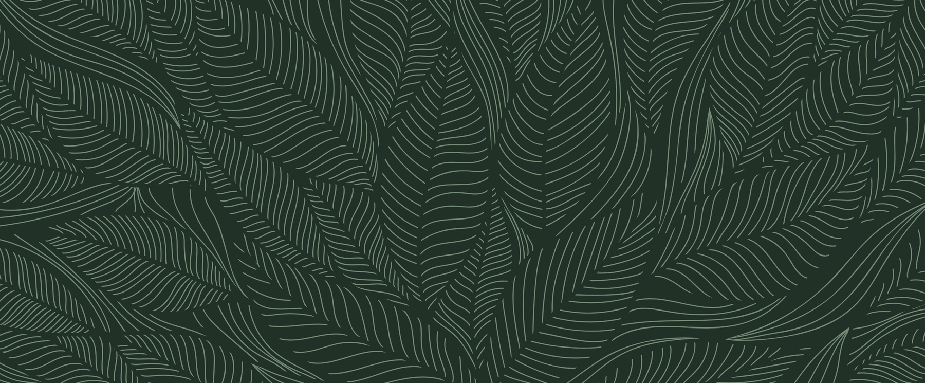 Monstera Art