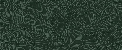 Monstera Art